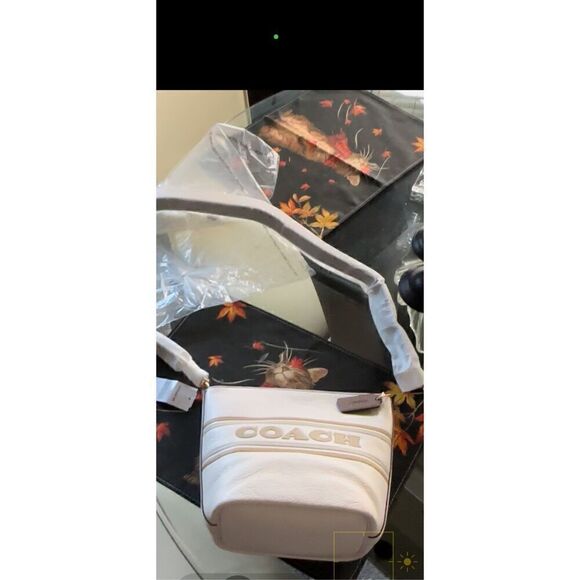 🔥🔥COACH LG LOGO STRIPED LOGAN DFL - Picture 14 of 15